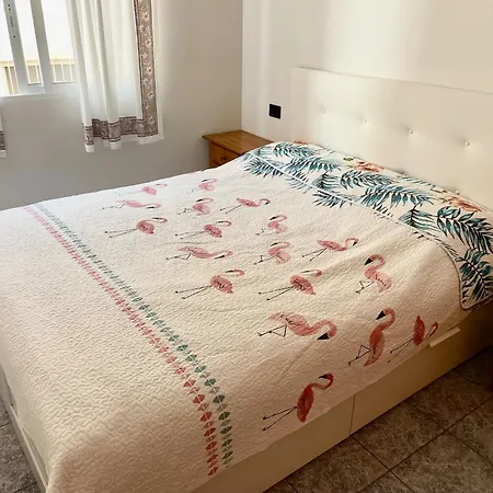 Apartment 3-bedroom With Terrace On Ground Floor *